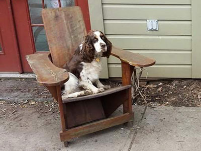 Custom Adirondack Chairs